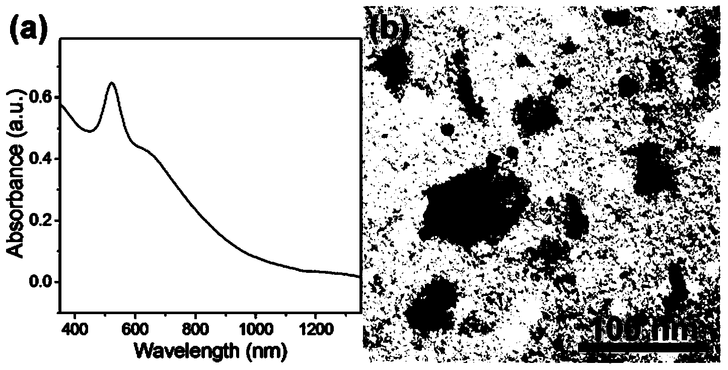 Polymer-coated gold nanoparticle chain compound, preparation method and applications thereof