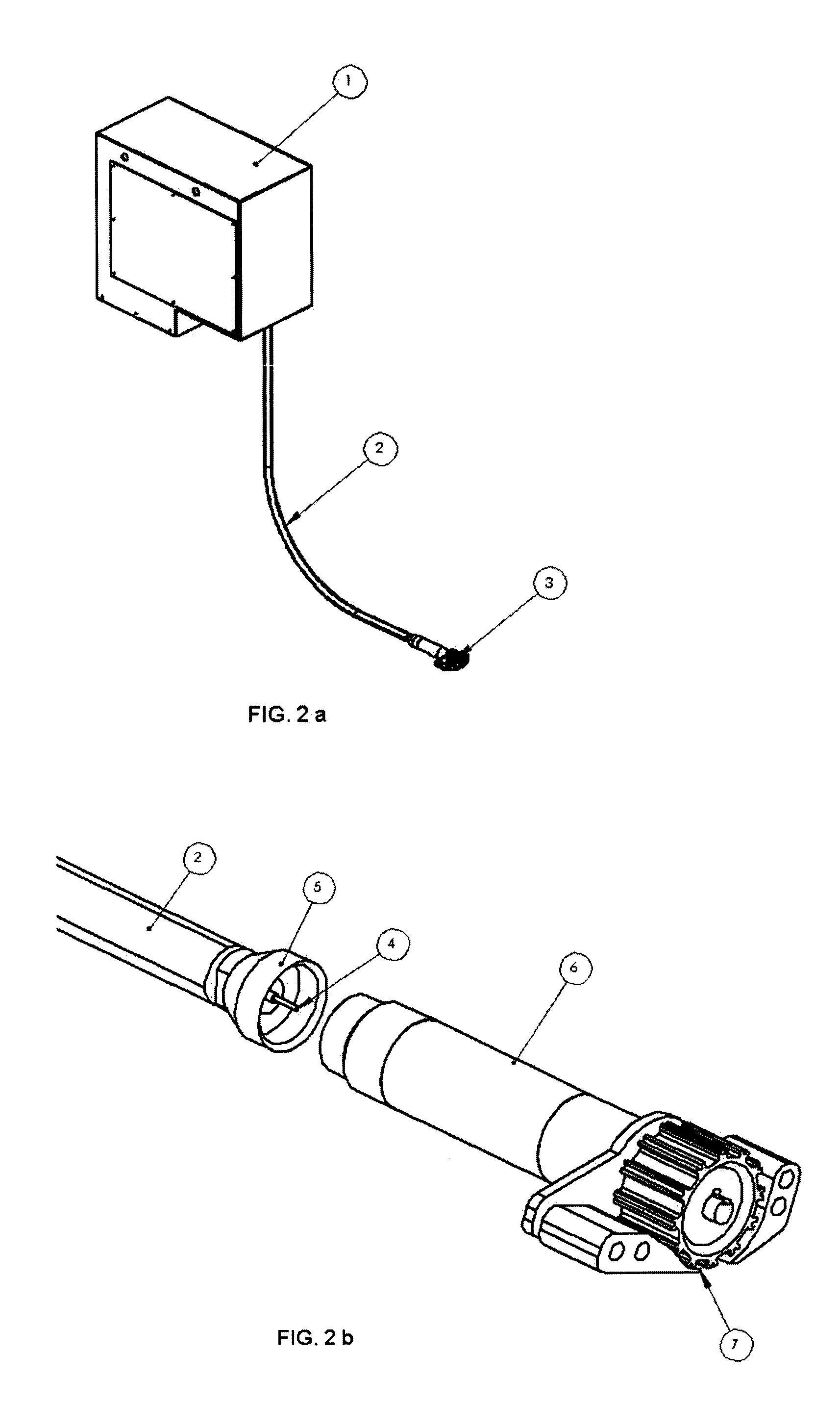 Apparatus and procedure for fish pin boning