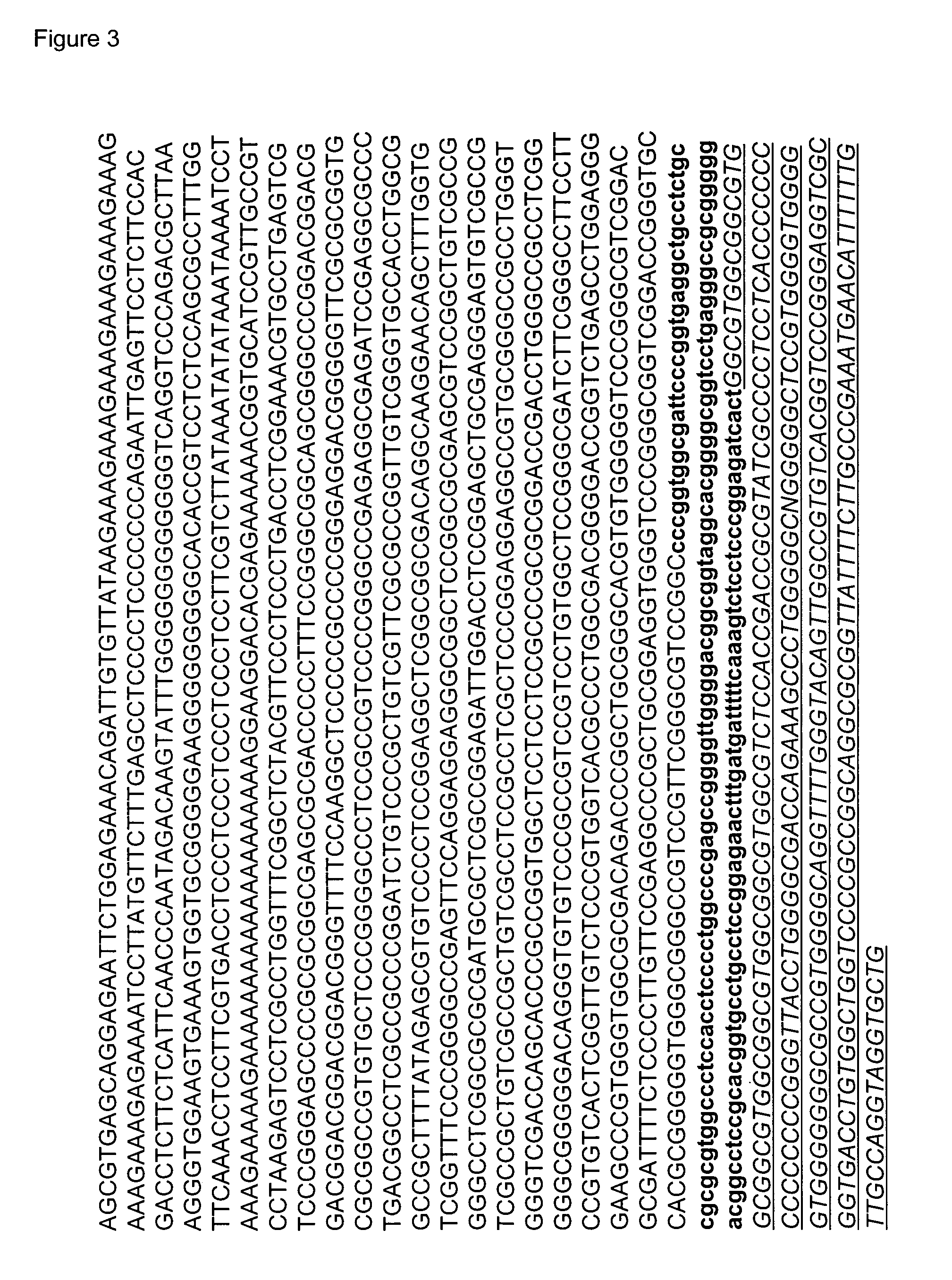 Reverse genetics using non-endogenous pol I promoters