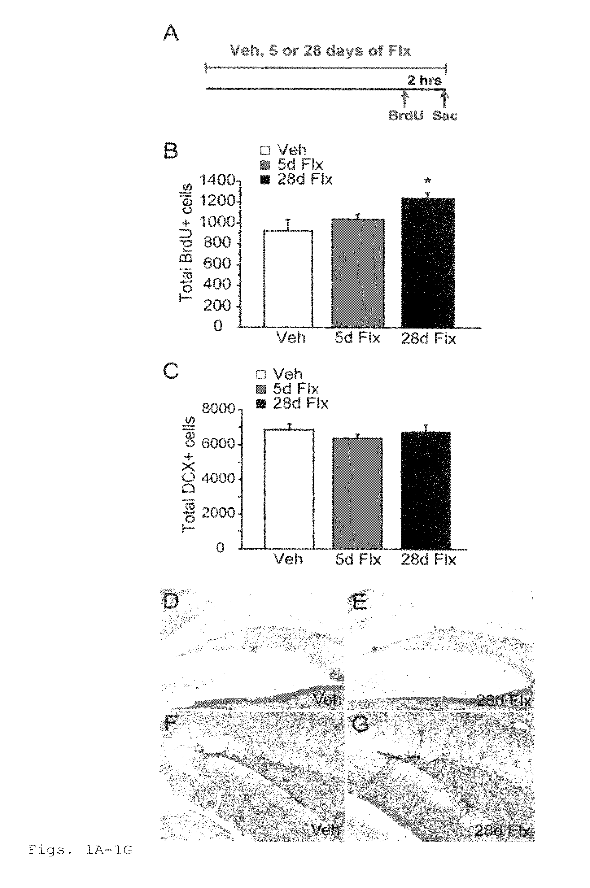 Assay for screening antidepressants