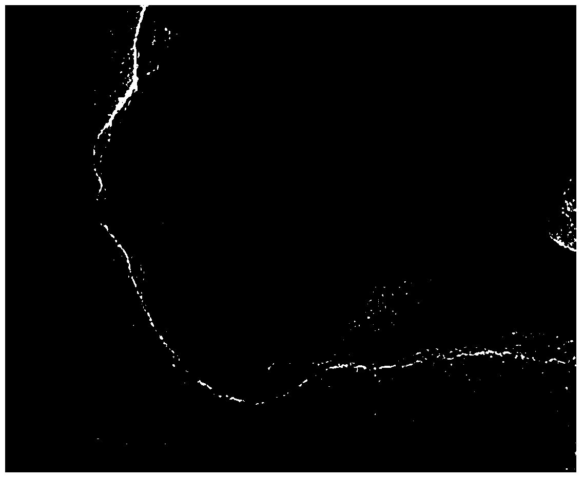 Polymer-graphene-polyaniline electromagnetic shielding composite material and preparation method thereof