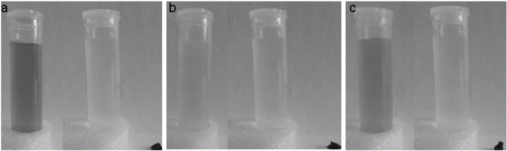 Graphene oxide/ polymer gel as well as preparation method and application thereof