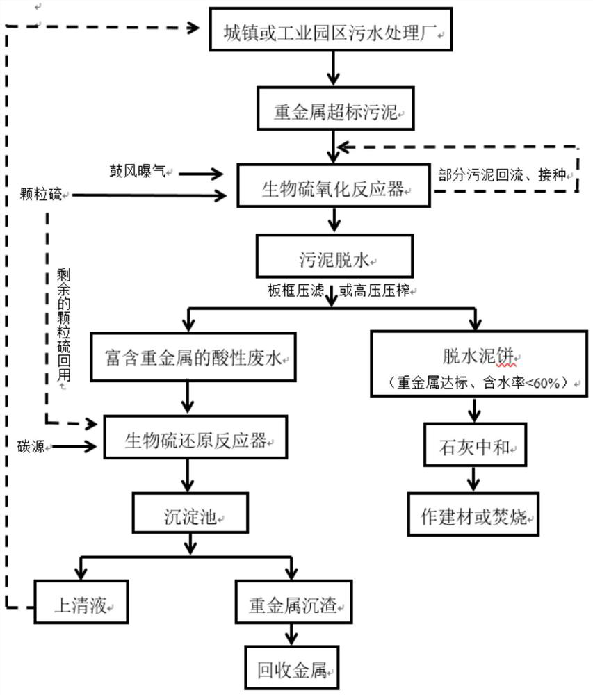 A treatment method for the removal and recovery of heavy metals in wastewater sludge based on biosulfur cycle