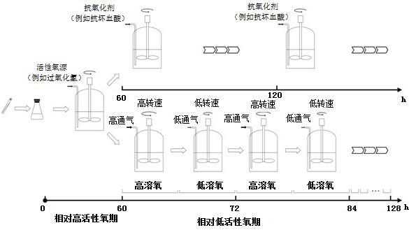 A method based on reactive oxygen species to regulate the fermentation of Mortierella alpina to produce arachidonic acid oil