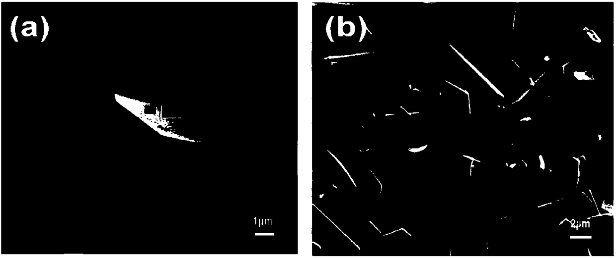 Tacrolimus nanocrystal and artificial tear compound and preparation method thereof