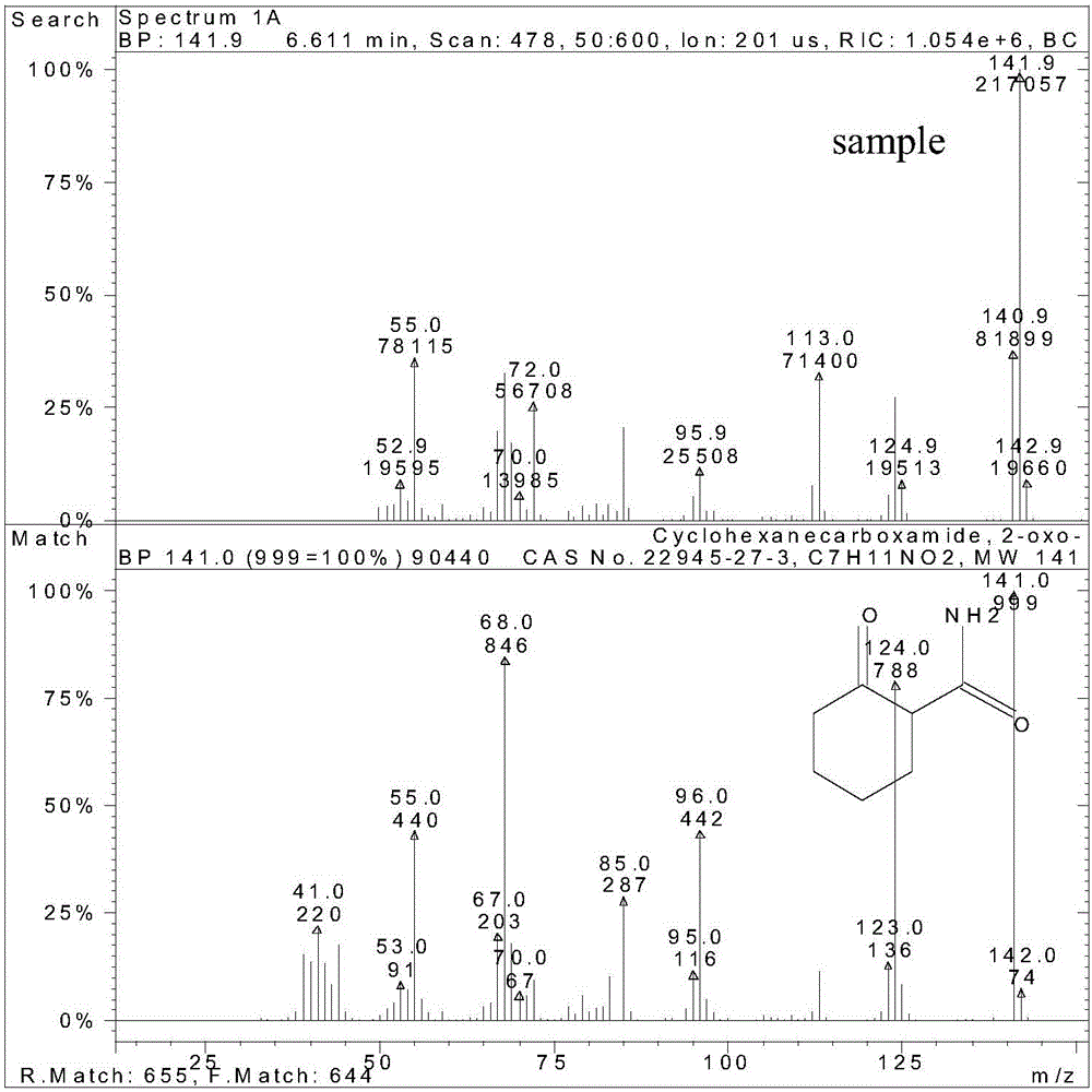 A kind of method of synthesizing 2-carboxamide cyclohexanone