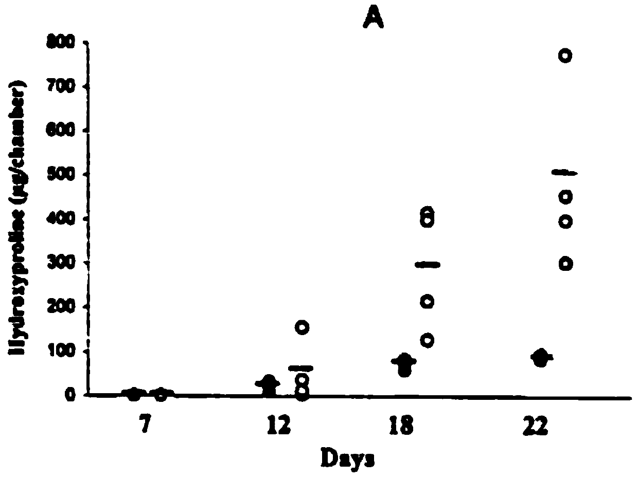 Ceruletide lyophilized powder for repairing skin and preparation method thereof