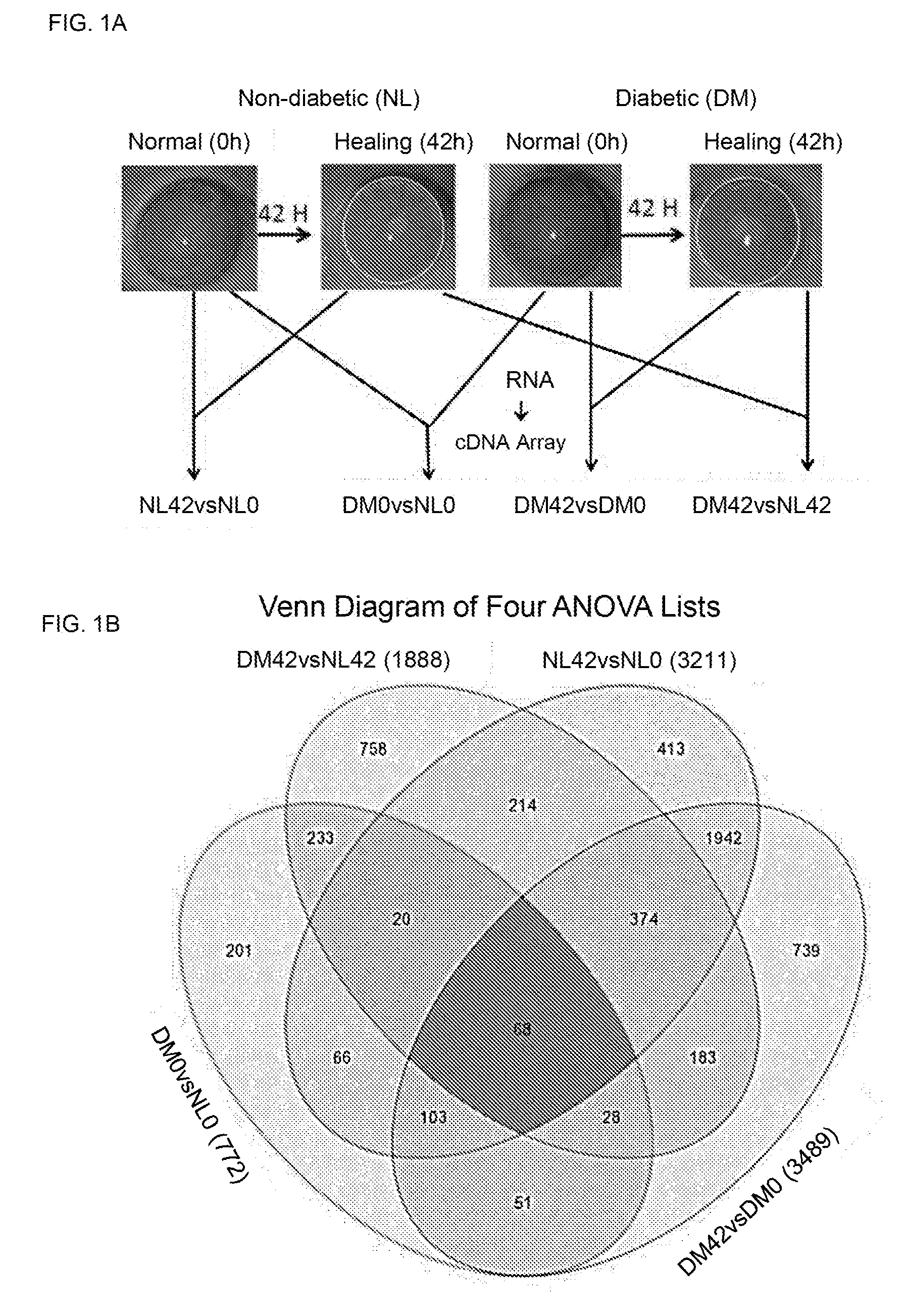 Compositions and methods to diagnose diabetes and/or to treat negative effects of diabetes