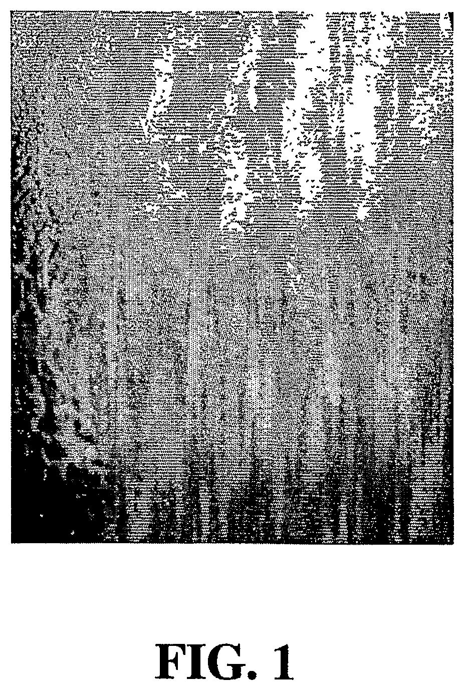 Articles having improved corrosion resistance