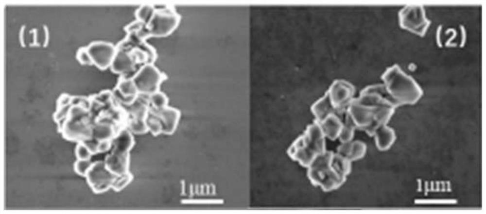 A slow-release zeolite molecular sieve integrated protective agent and its preparation method and application