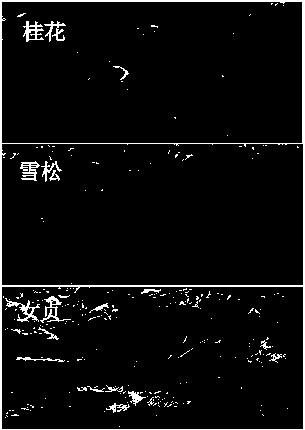 Method for monitoring concentration of atmospheric particulars based on support vector machine and tree leaf magnetism