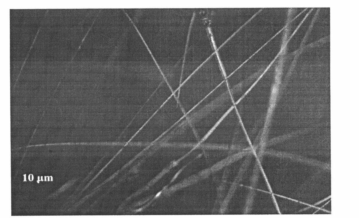 Method for preparing inorganic slag fibers by using iron tailings