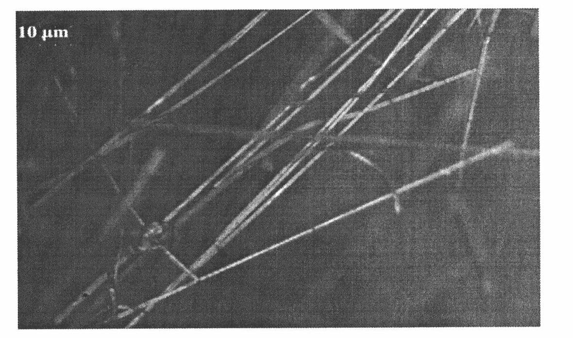 Method for preparing inorganic slag fibers by using iron tailings