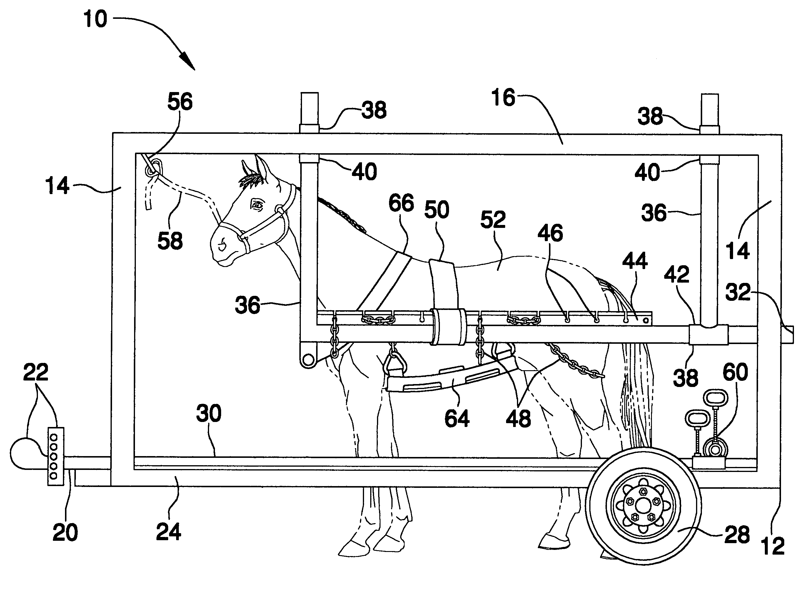 Stabilizer for shoeing a horse