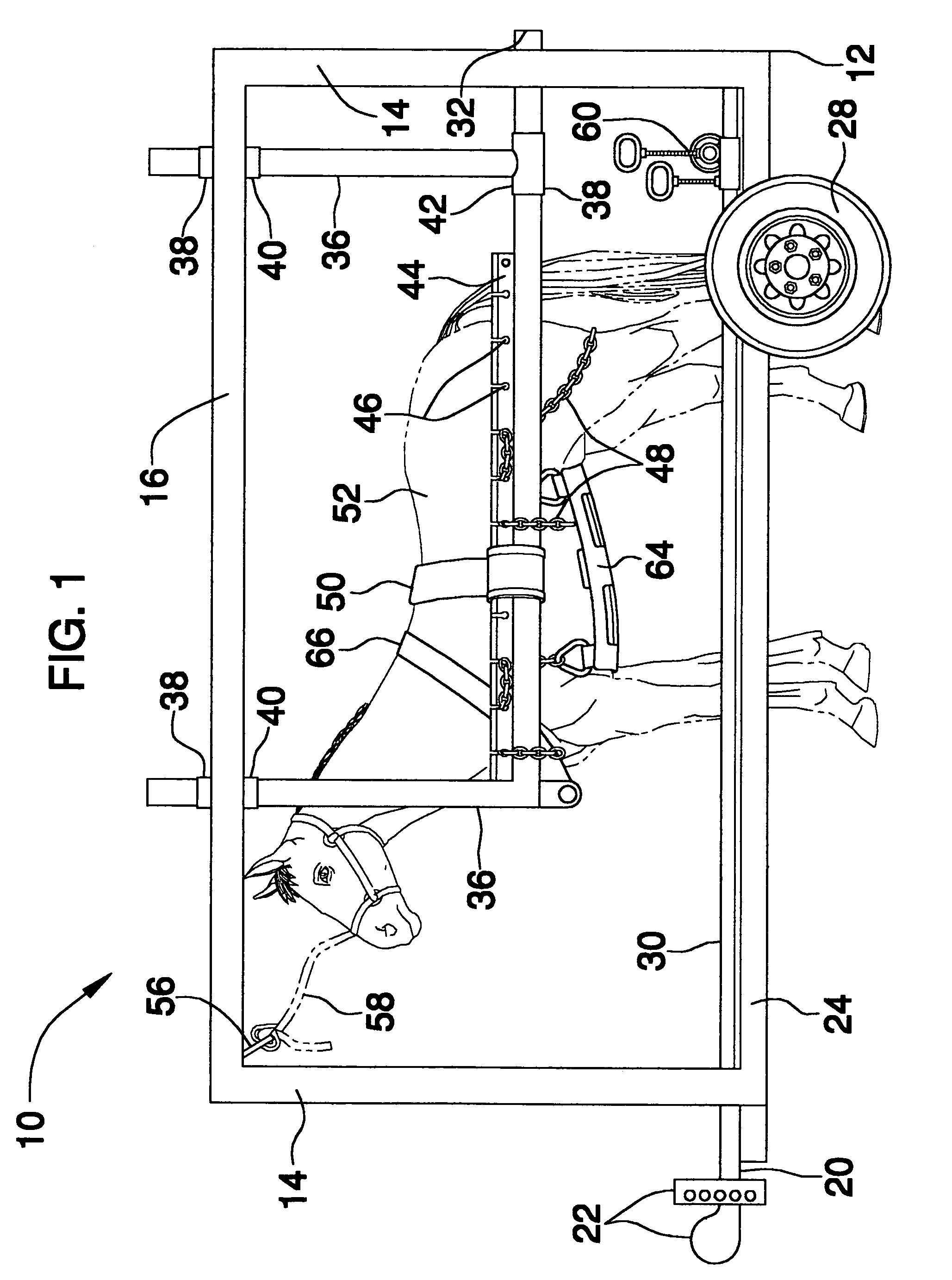 Stabilizer for shoeing a horse