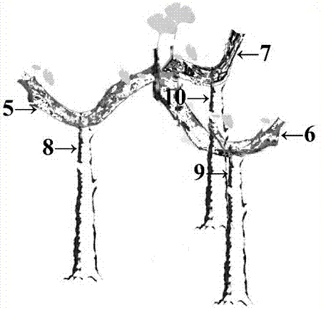 A kind of garden ornamental gazebo type crown molding method