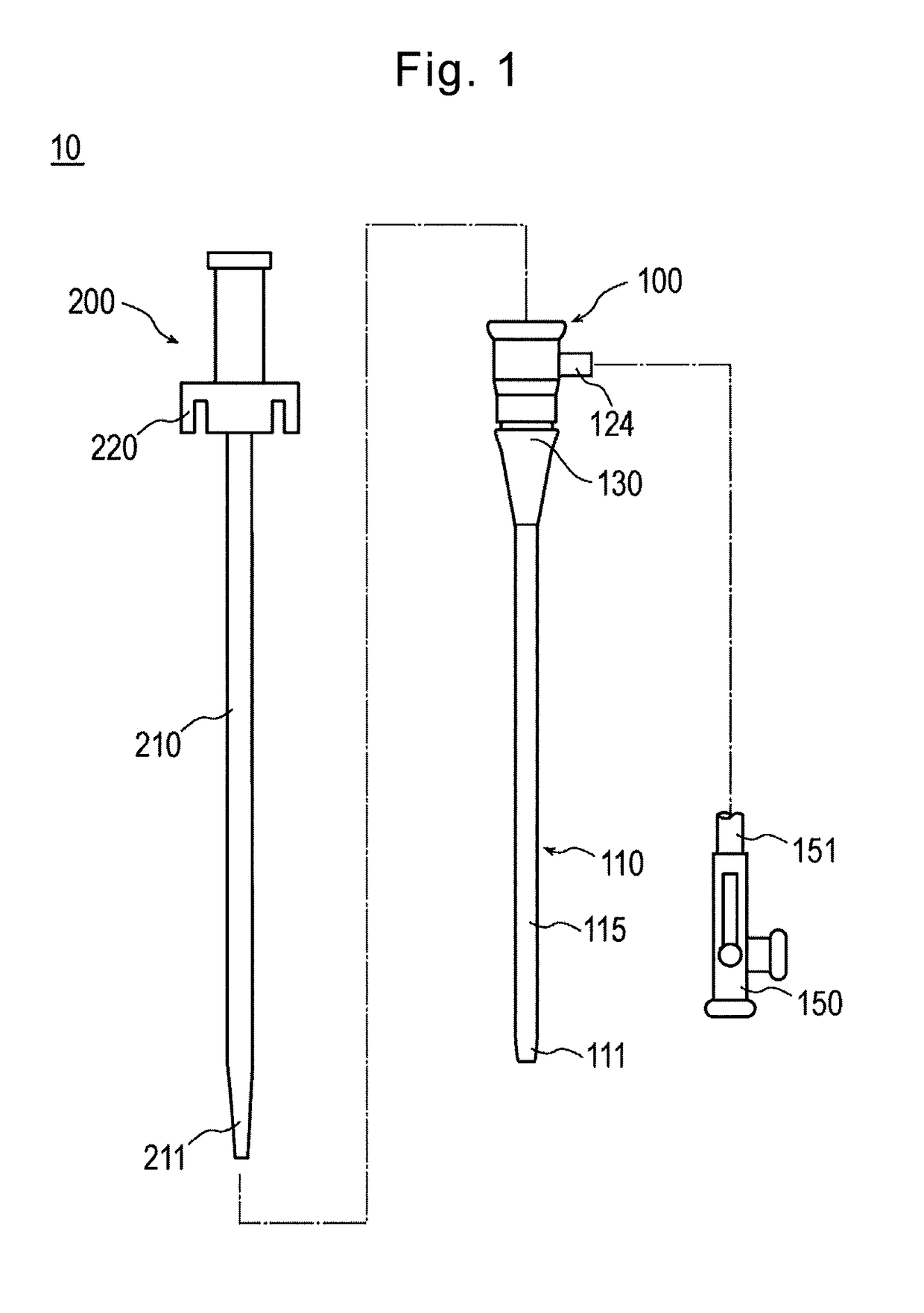 Introducer sheath and introducer