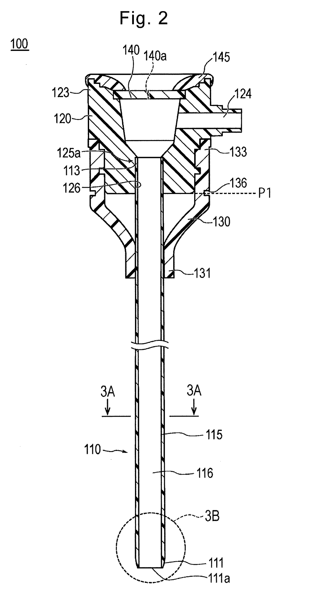 Introducer sheath and introducer