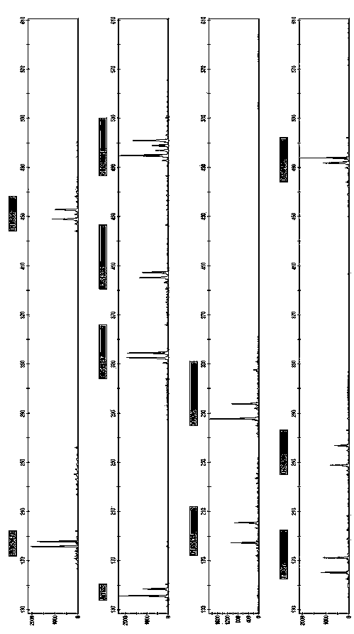 New short nucleotide tandem repeat site and application thereof