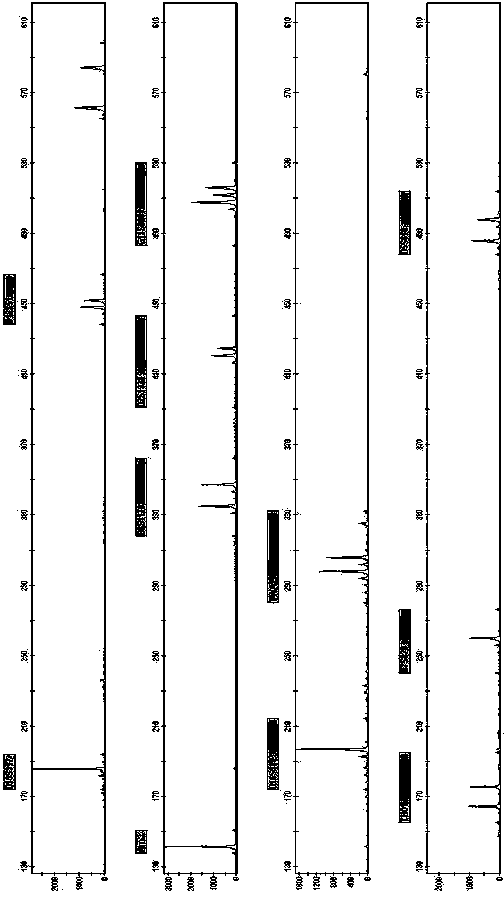 New short nucleotide tandem repeat site and application thereof