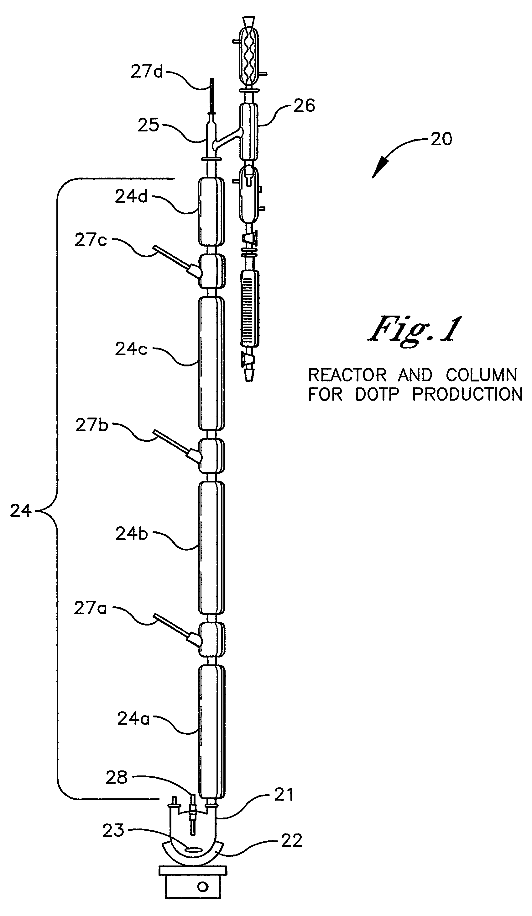 Production of terephthalic acid di-esters