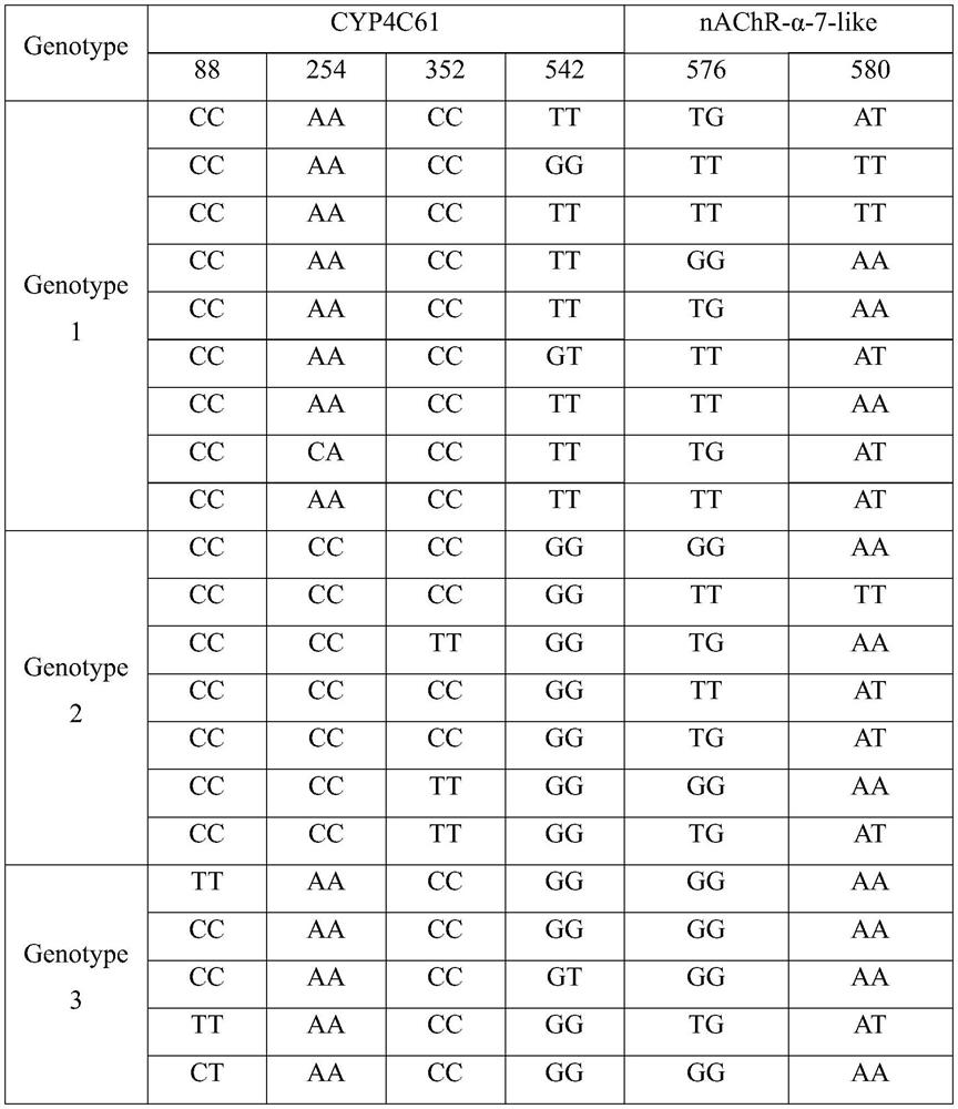 A method for assessing the potential applicability of insect-resistant rice varieties based on brown planthopper-specific virulence genotypes