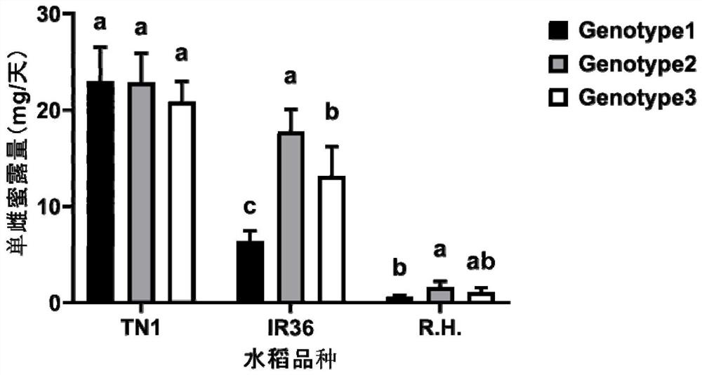 A method for assessing the potential applicability of insect-resistant rice varieties based on brown planthopper-specific virulence genotypes