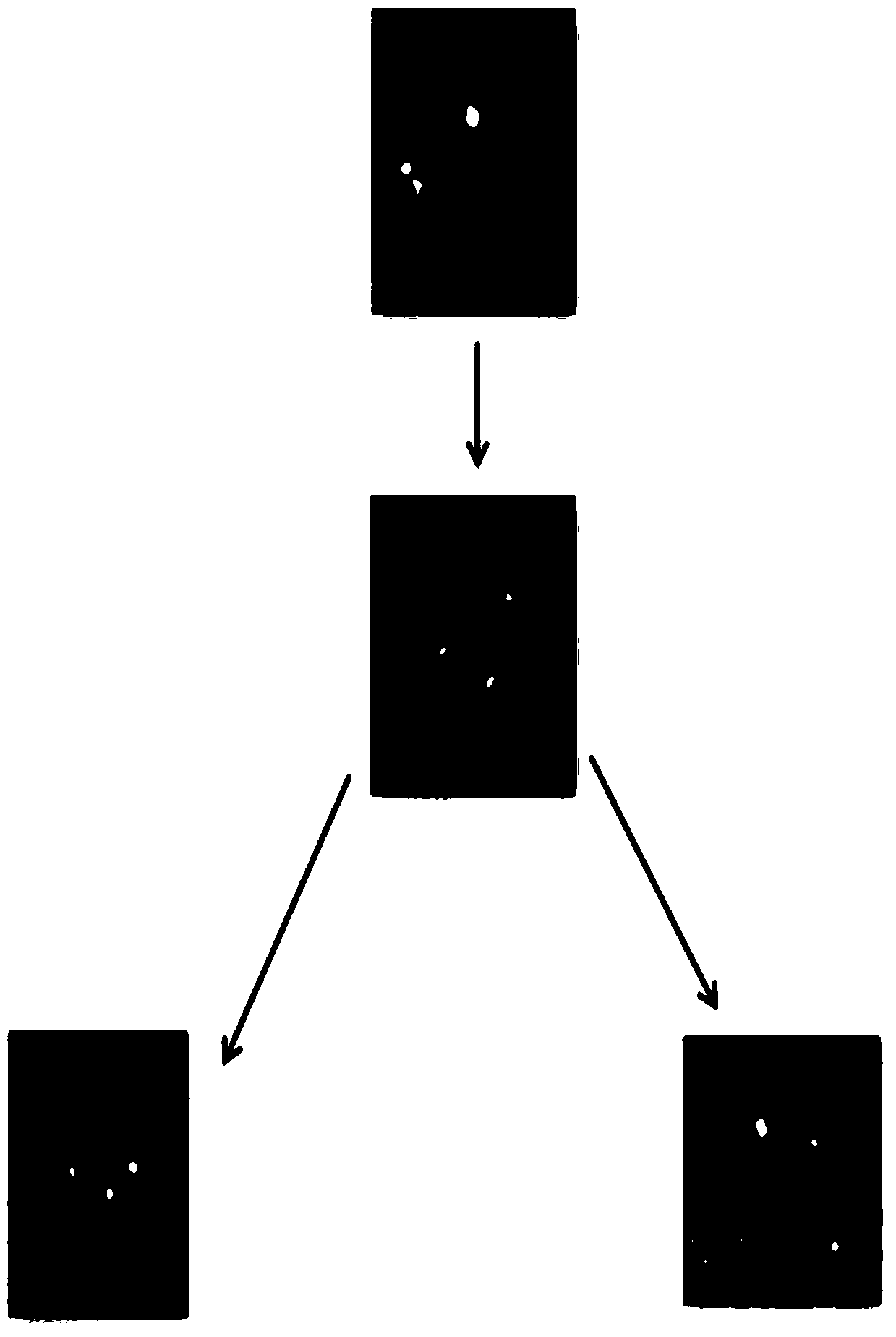 Probe kit for detecting target gene copy-number alteration in t(8;21) AML