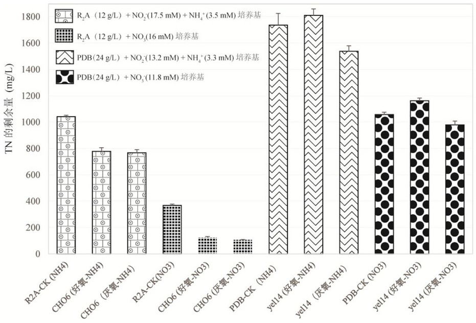 Denitrification microbial agent with broad-spectrum dissolved oxygen and organic carbon tolerance and application thereof