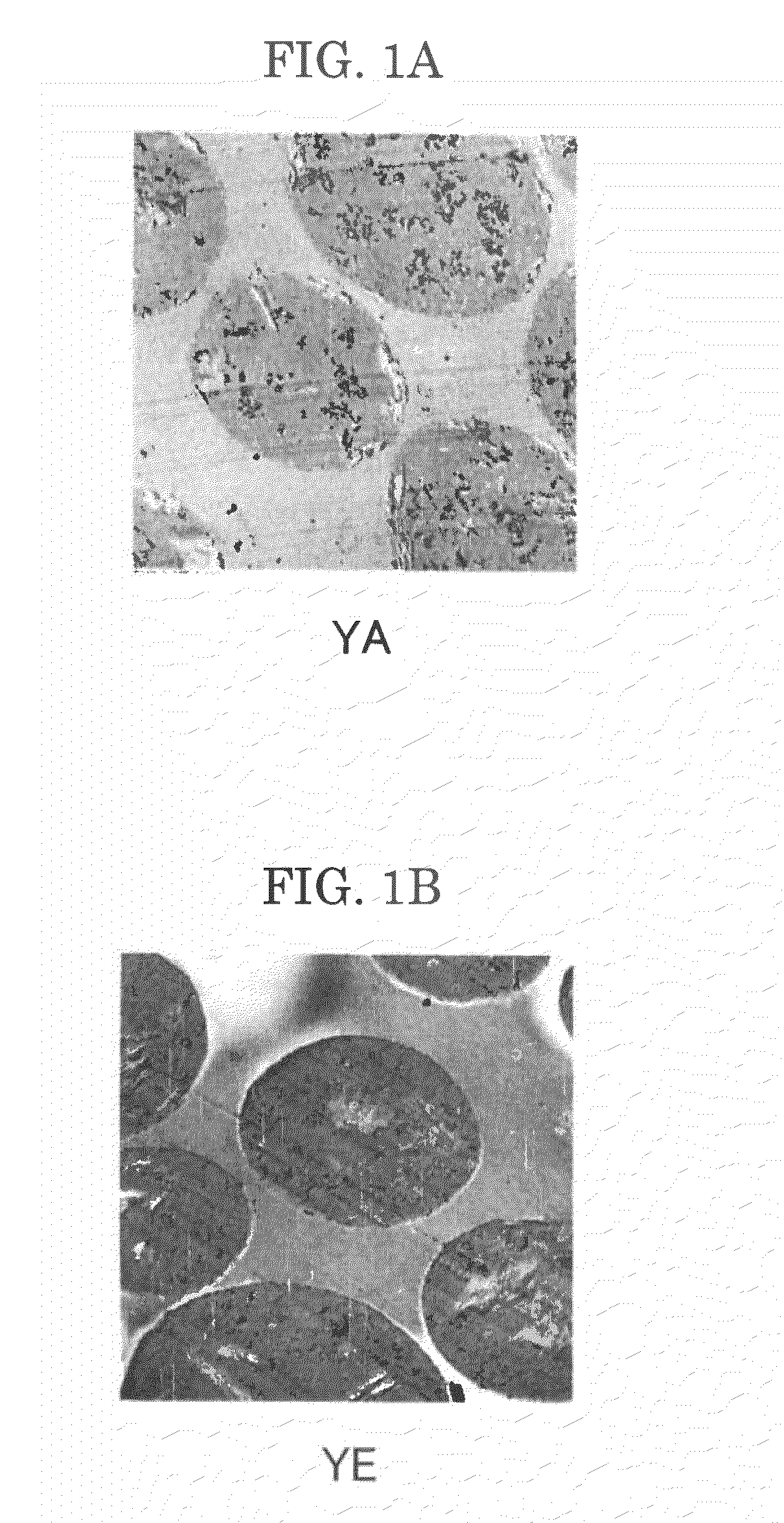 Toner, method for producing the same, and developer