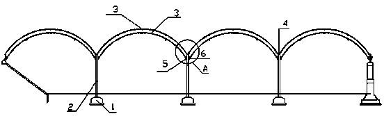 Double-layer hollow wintering greenhouse for industrial aquaculture of Takifuguobscurus