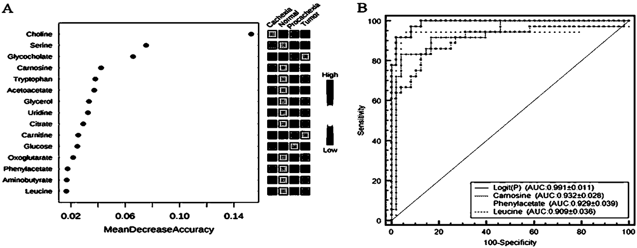 Therapeutic drug target for preventing and treating skeletal muscle atrophy and application of therapeutic drug target