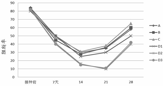 A kind of swine fever live vaccine compound preparation and preparation method thereof