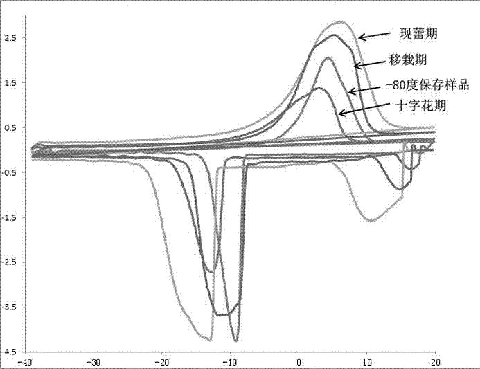 Method for judging freeze drying precooling temperatures of tobacco leaf samples by aid of eutectic crystal points and eutectic melting points