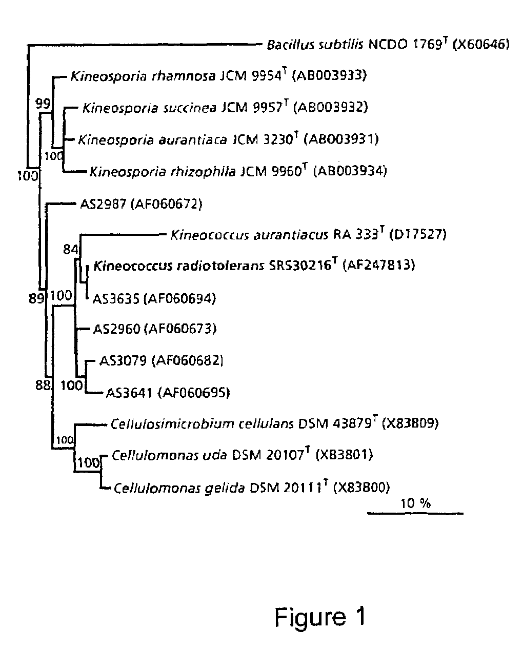 Radiation-resistant microorganism