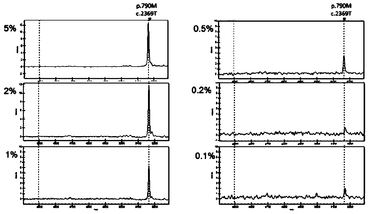 Human EGFR gene mutation site T790M detection reagent and detection method