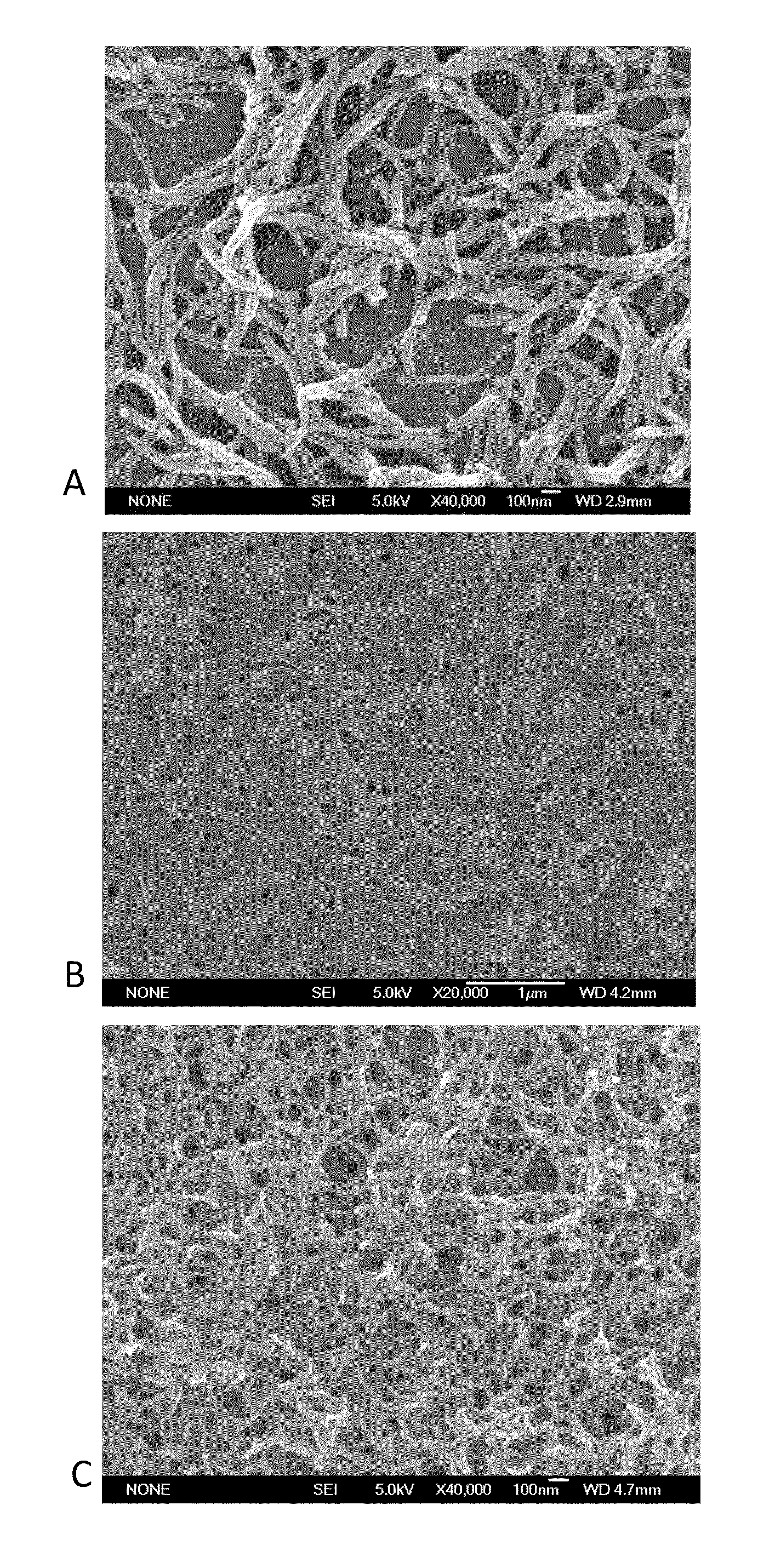 Electrodes incorporating nanostructured polymer films for electrochemical ion storage