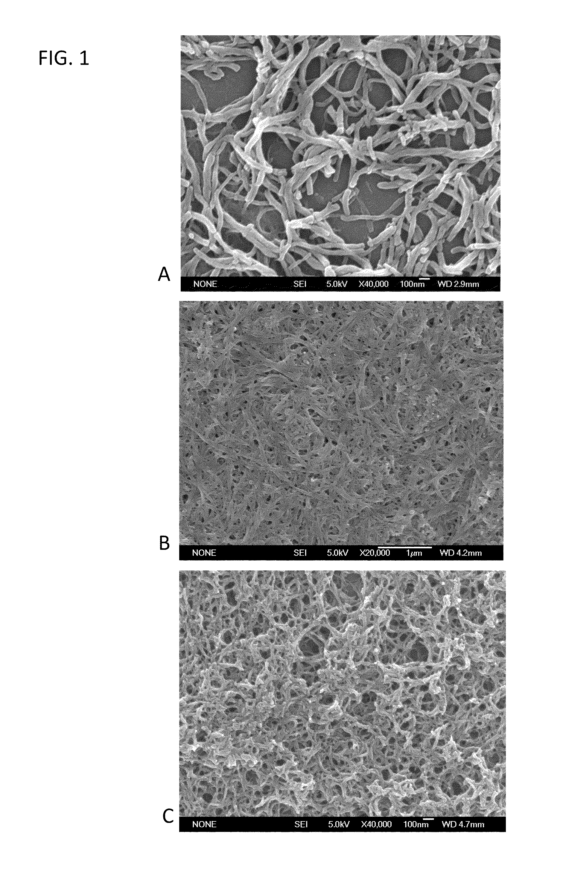 Electrodes incorporating nanostructured polymer films for electrochemical ion storage