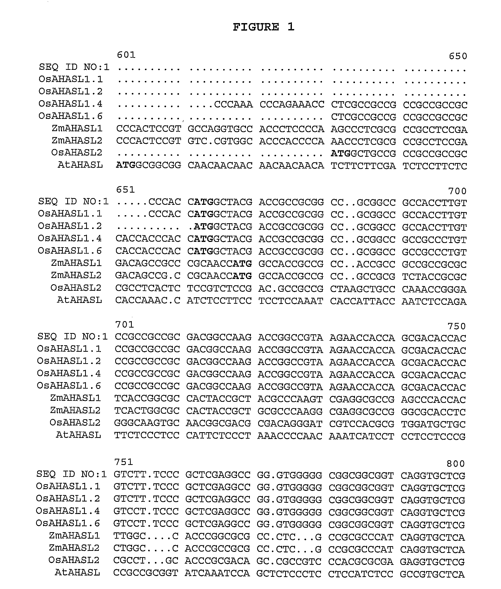 Herbicide-resistant rice plants, polynucleotides encoding herbicide-resistant acetohydroxyacid synthase large subunit proteins, and methods of use