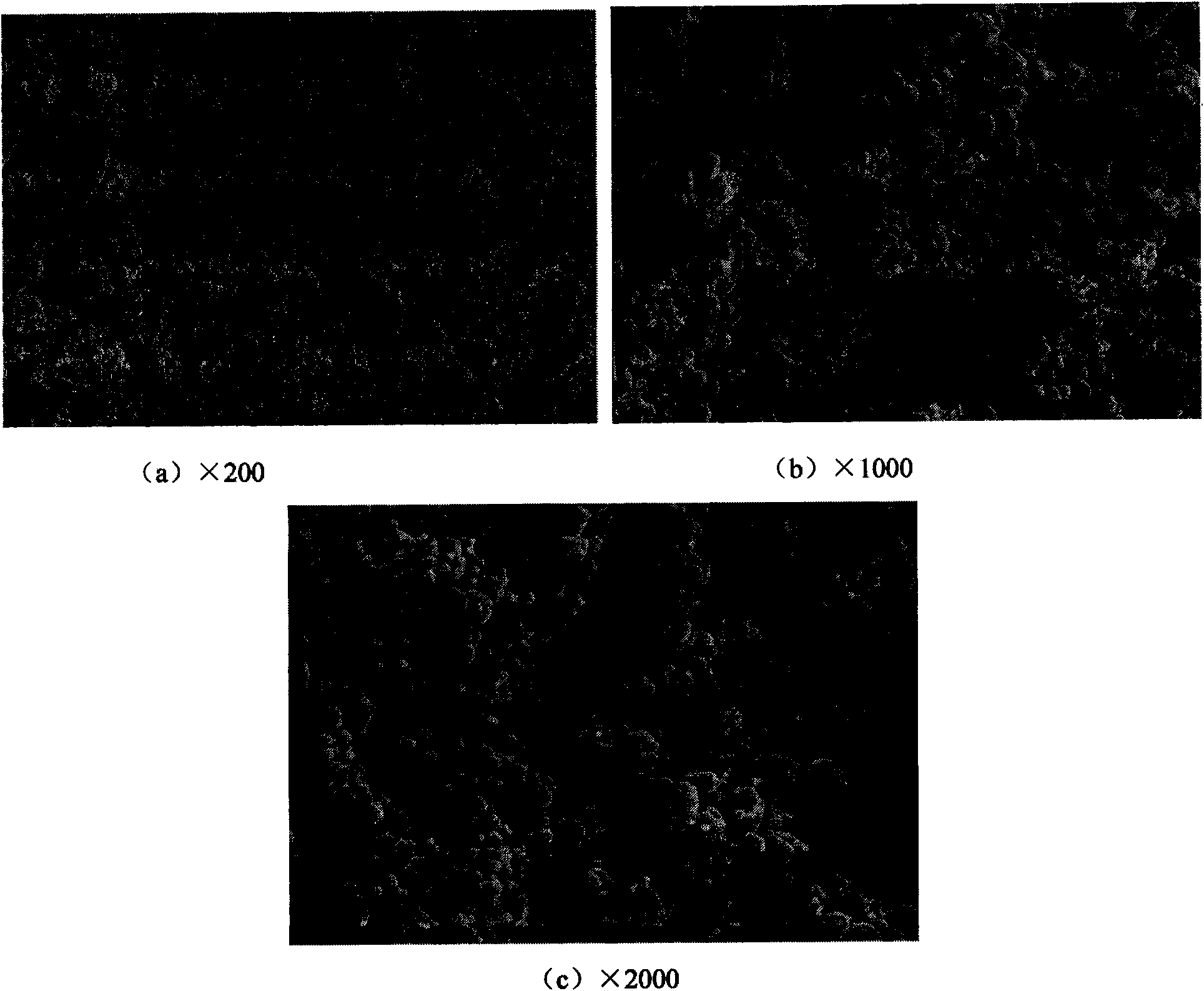 Preparation method of molybdenum powder