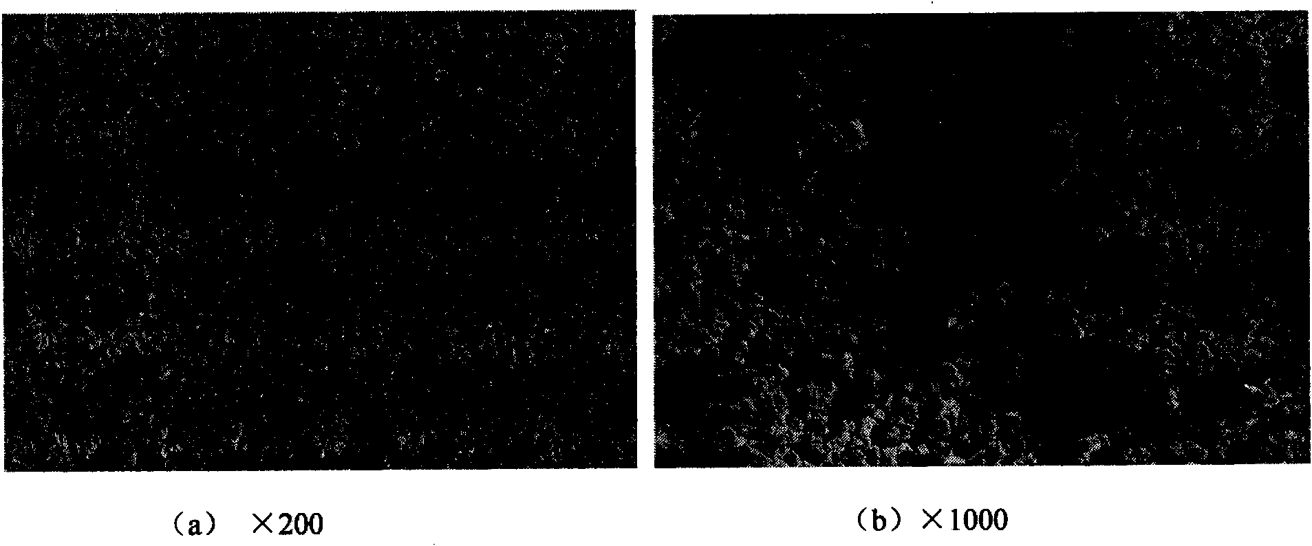 Preparation method of molybdenum powder