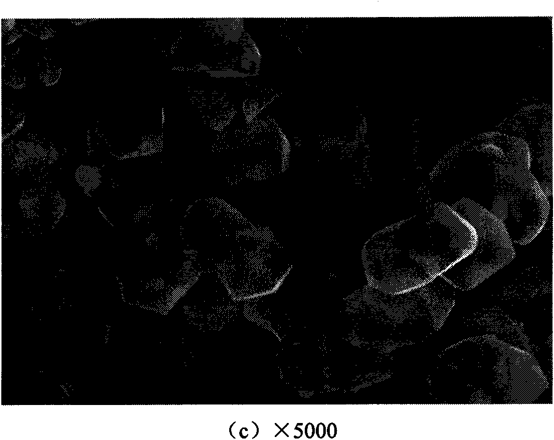 Preparation method of molybdenum powder