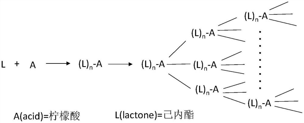 Highly branched polyester product, thixotropic compound and coating