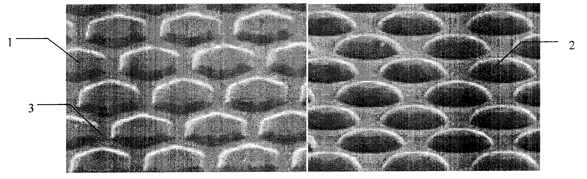 Growth technology for growing high-quality GaN crystal material on sapphire patterned substrate