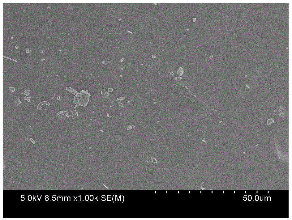 Composite electrolyte membrane based on functional polymer and preparation method thereof, and lithium-sulfur secondary cell