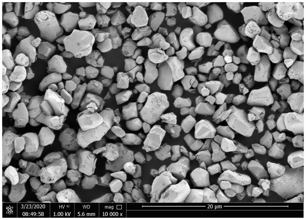 Single-crystal ternary positive electrode material and preparation method and application thereof