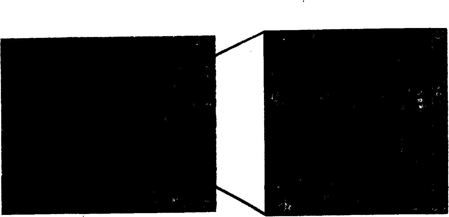 Foamed aluminium and aluminum alloy tackifying foaming preparation method