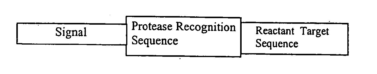 System for cell-based screening