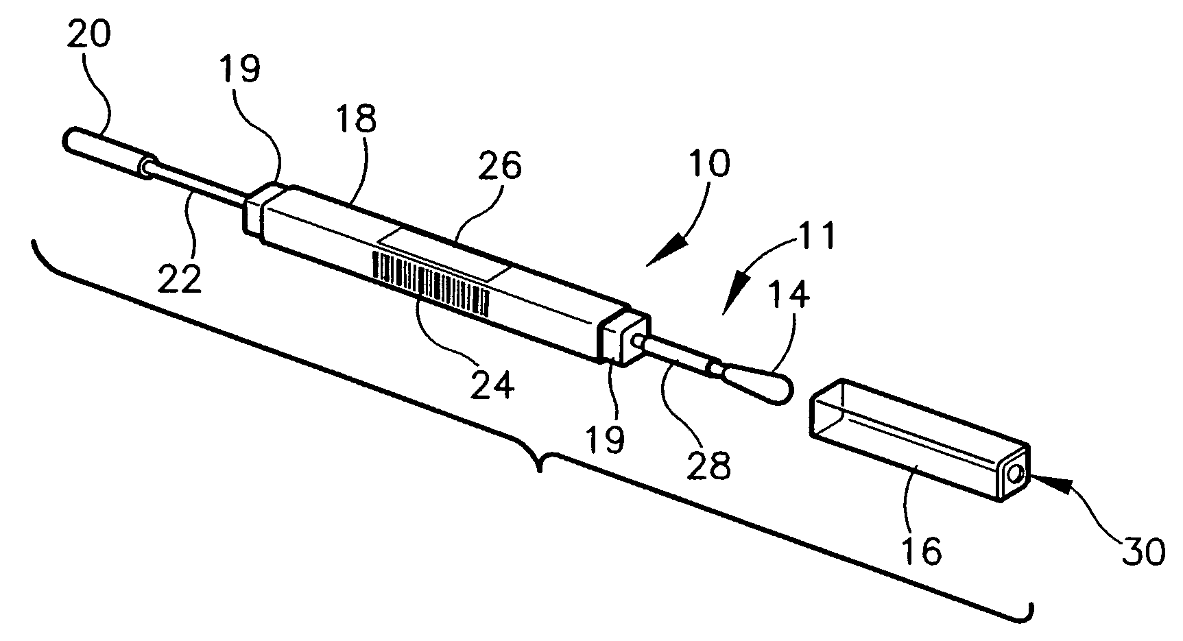 Containerized sample collection apparatus and method