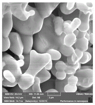 Ceramic solid electrolyte and preparation method thereof